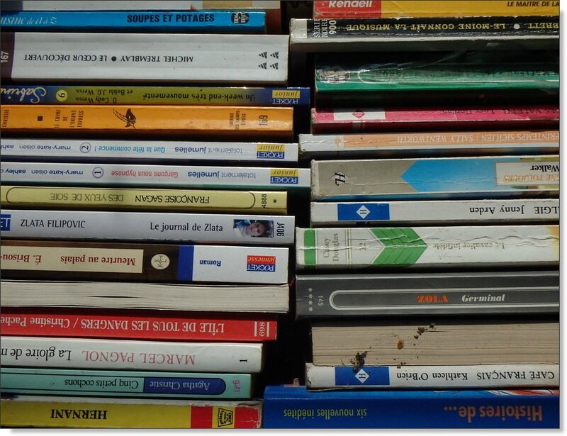 Recyclerie 6 livres 110714