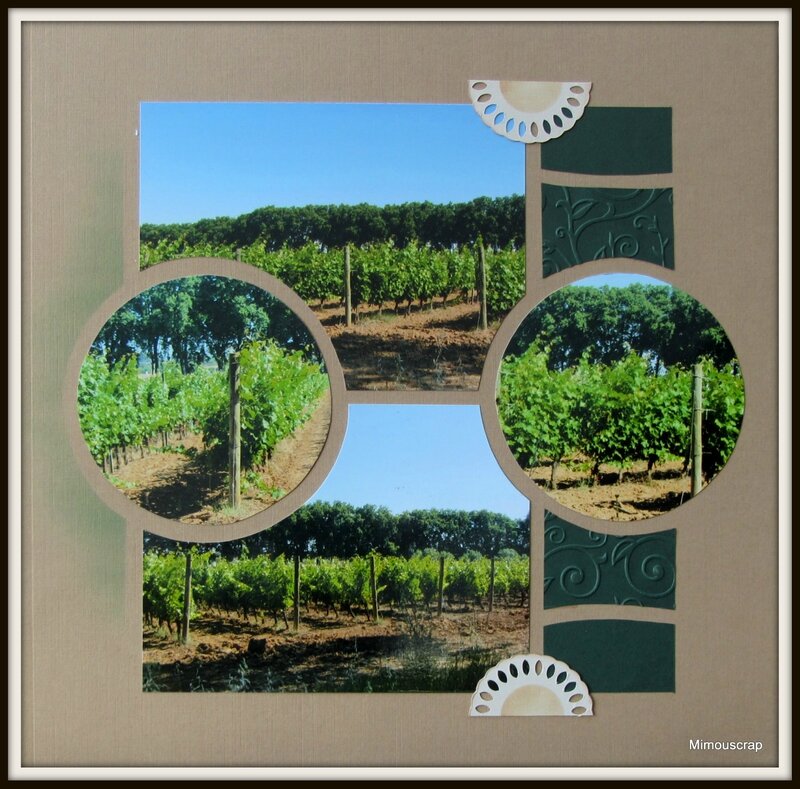 Portiragnes 2014 049b