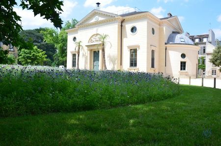 Jardin des plantes 06