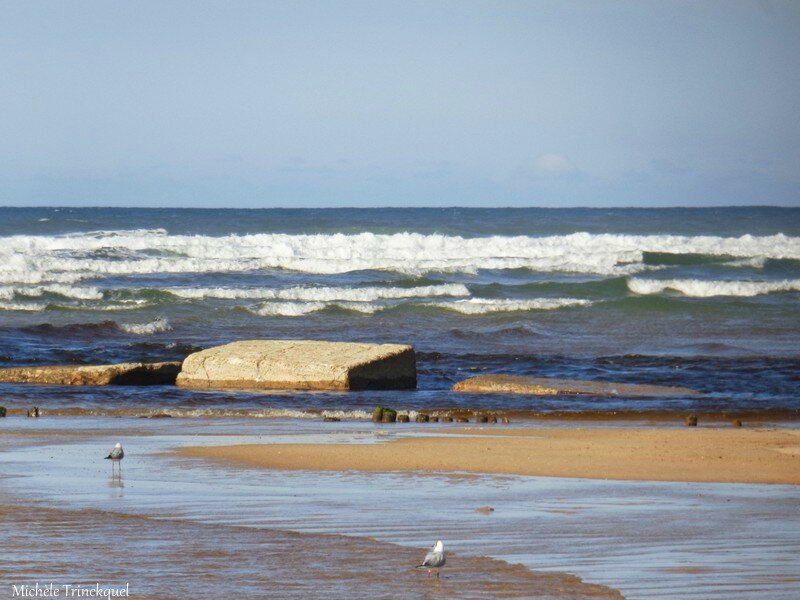 Plage Courant d'Huchet 141116