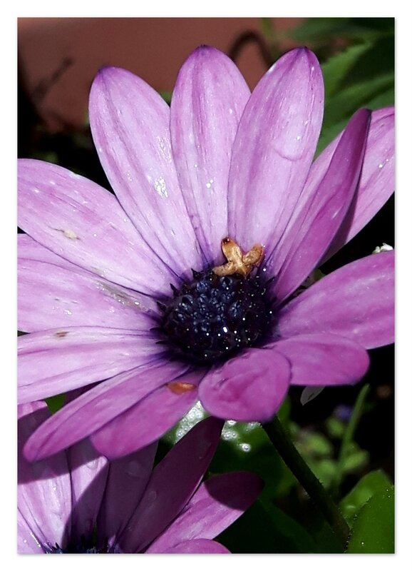 2016-07-021