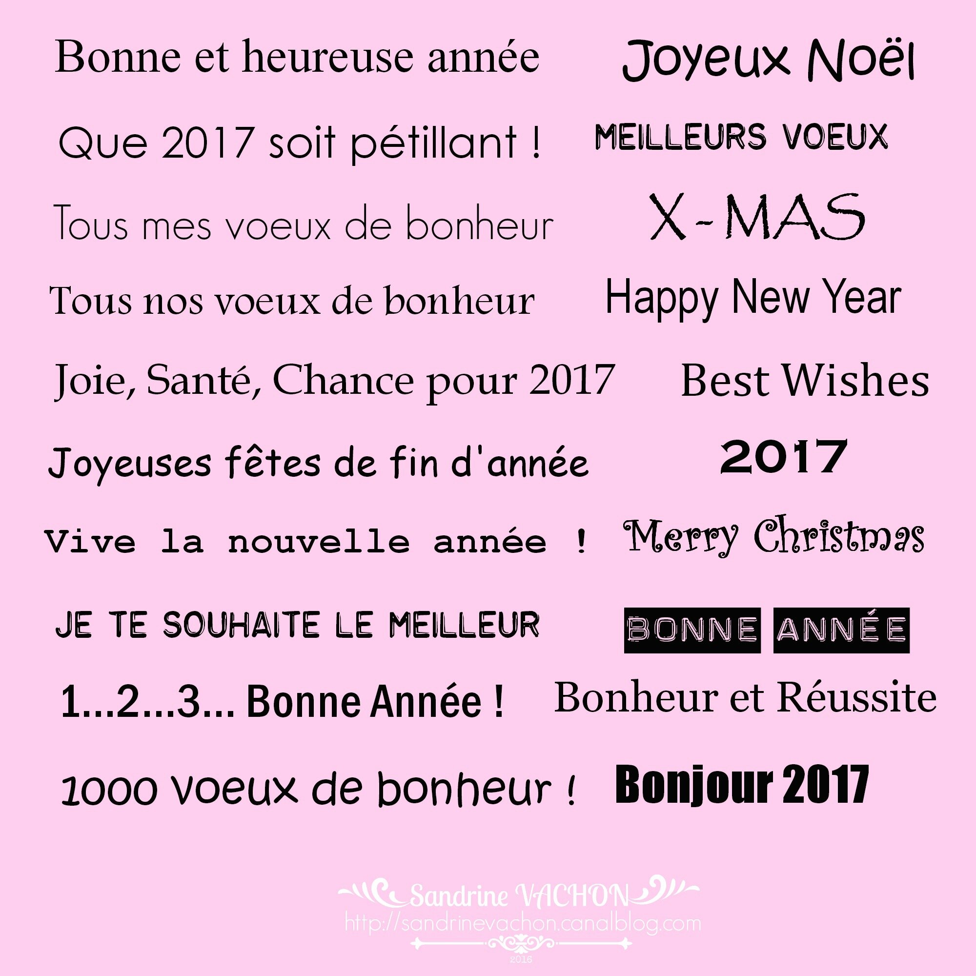 Sandrine VACHON planche 53