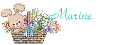 Marine1