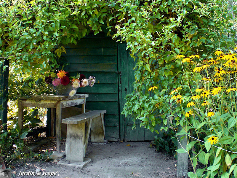 Cabane de jardin aux Prés de Culand (45)