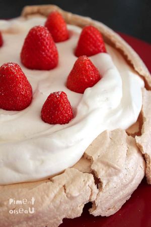 pavlova