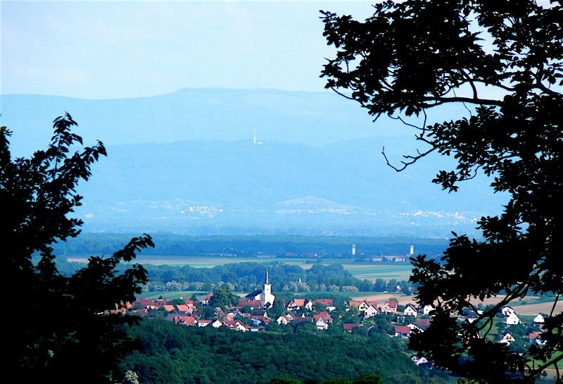 Schoenenbourg vu de Pfaffenschlick - copie