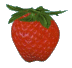 fraise_pt-4
