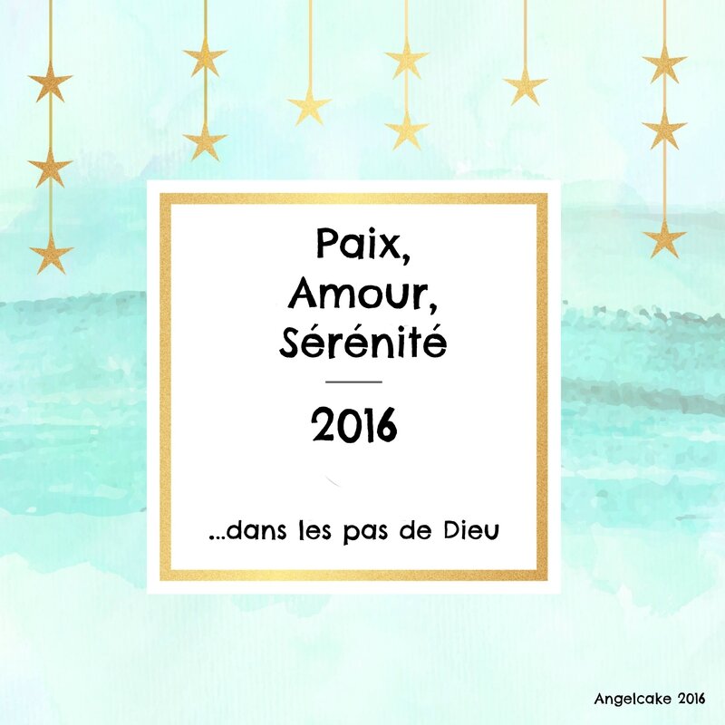 Angecake carte voeux 2016