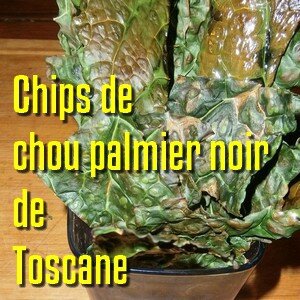 Chips de Chou palmier noir de Toscane in ruiz légumes bio var