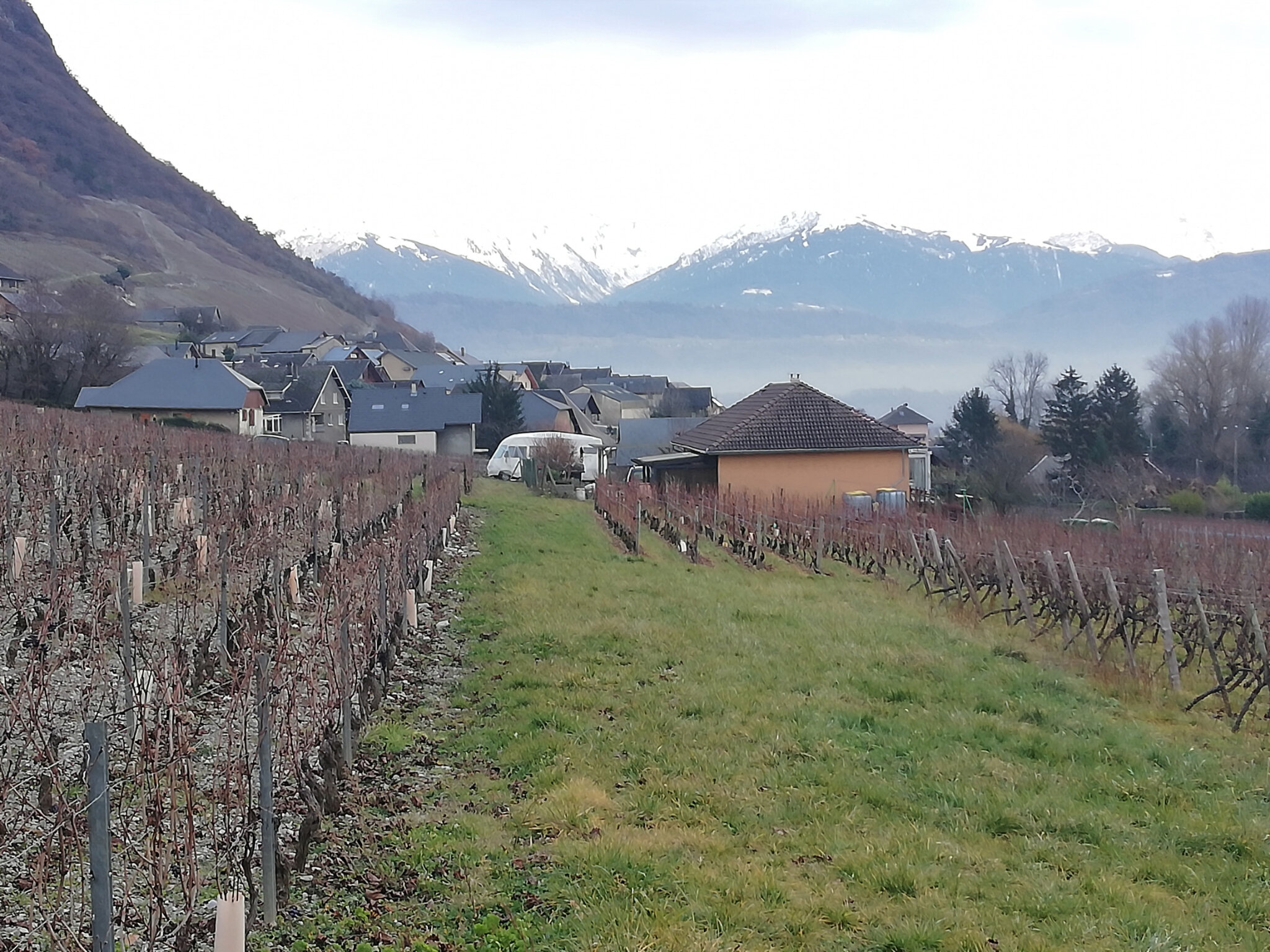 Vignes Chignin 2020 12 17 (27)