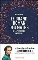 Le grand roman des maths