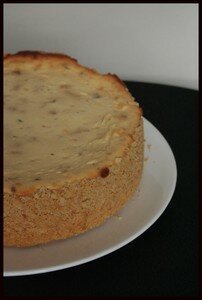 cheesecake_sal__3