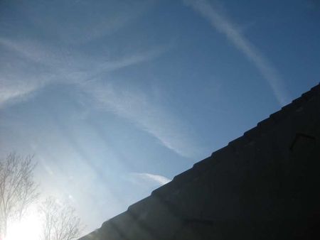 soleil_de_janvier_2011_000