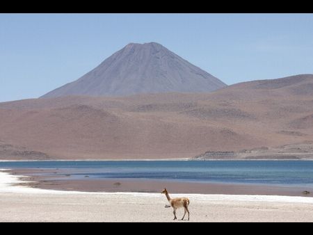 Salar_de_Atacama_laguna_Chaxas_lagunas_Miscanti_y_Miniques_114