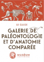 Galerie de paléontologie et d'anatomie comparée