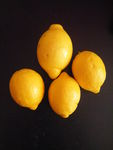 cure_de_citrons_006