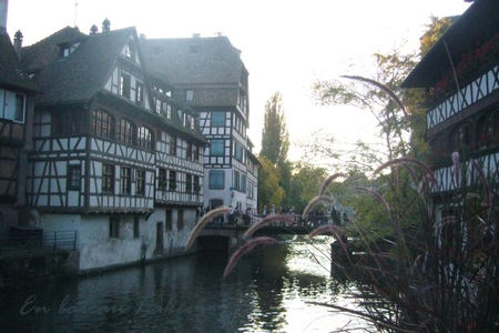 strasbourg_21_copie