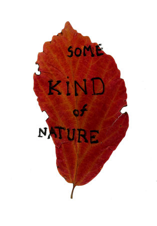 some_kind_of_nature