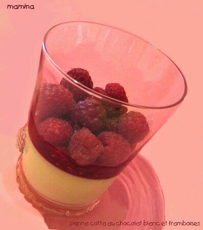 CHOCOLAT_BLANC_FRAMBOISES220jpg