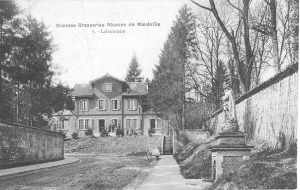 Image11