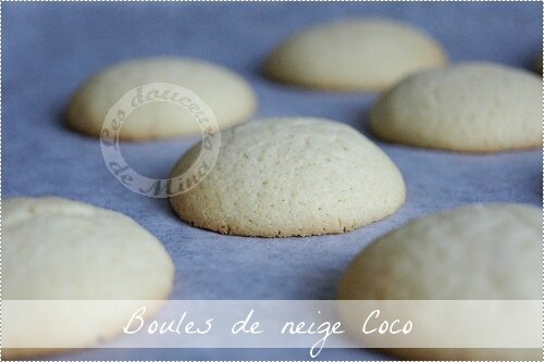 Boules_coco004