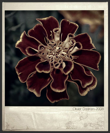 Coeur_blanc_Canalblog
