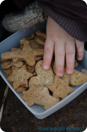 Biscuits_PP_4