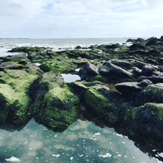 Un petit air d'Irlande ©Kid Friendly