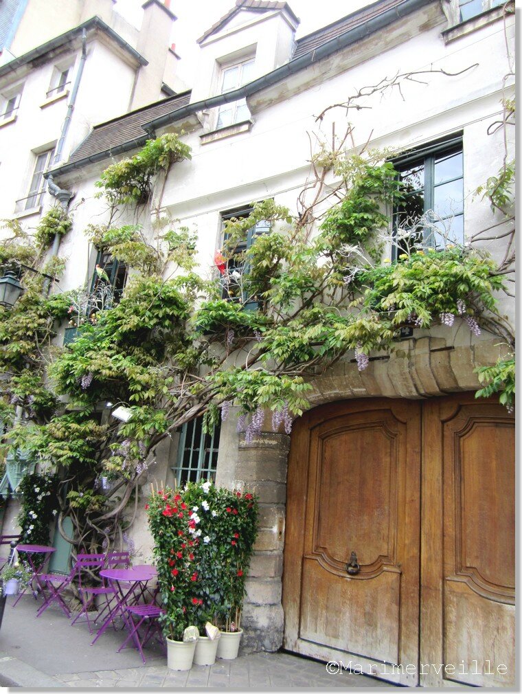 au vieux paris d'arcole 7