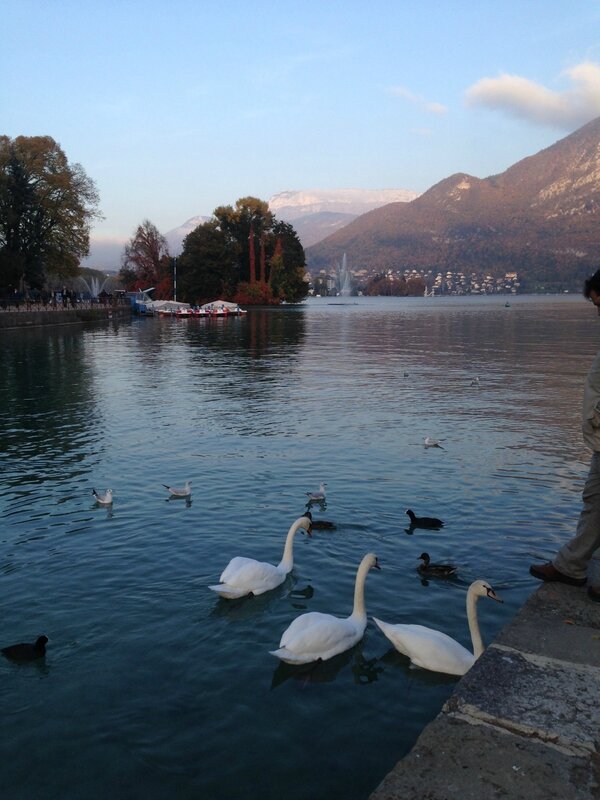 Lac d'Annecy