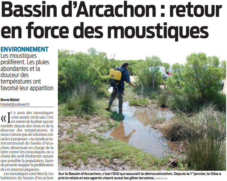 2020 05 31 SO Bassin d'Arcachon Retour en force des moustiques