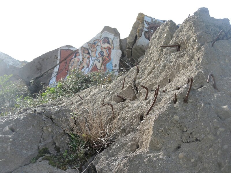 Tarnos, champ des blockhaus, tiges (40)