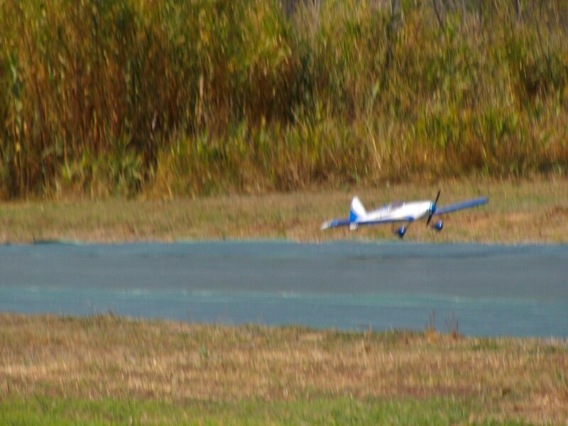 IMGP7842