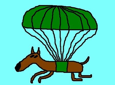 chien_en_parachute
