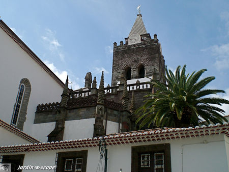 8755_Cath_drale_Funchal