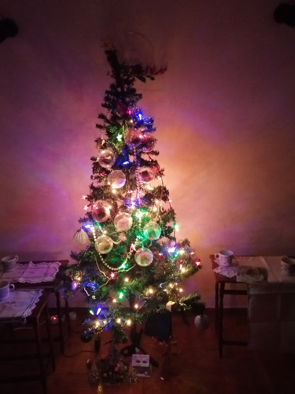 sapin du soir