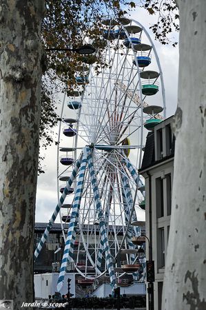 La-Grande-roue-Orléans