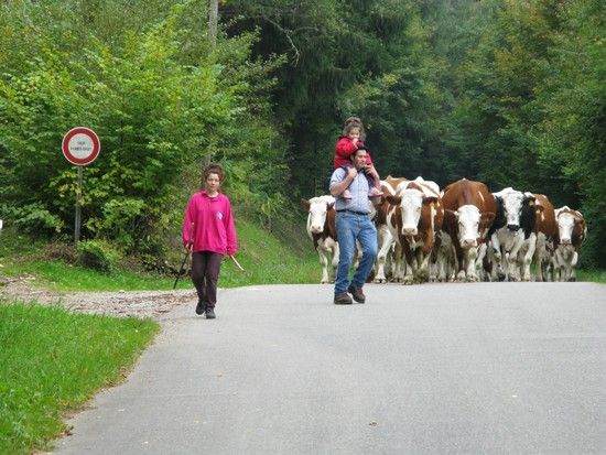 C_est_l_automne_au_Lochberg_038