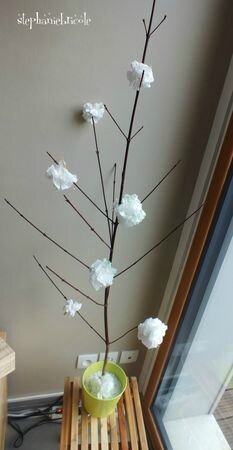 fleur crepon