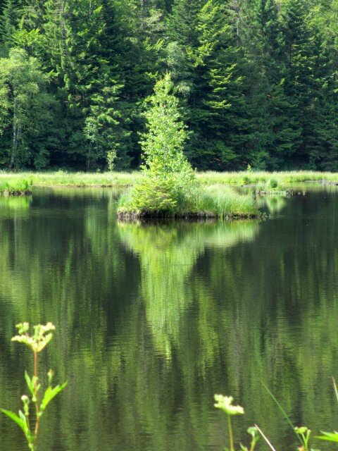 blog ger15