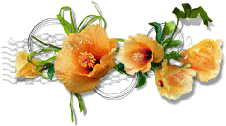 Gif barre belle composition fleurs orangées 320 pixels
