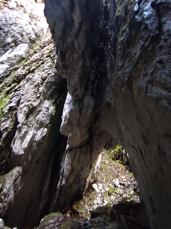 arche du Labyrinthe de l'Alpe