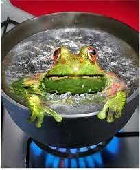 La syndrome de la grenouille qui ne savait pas qu'elle était cuite Une  grenouille nage dans une marmite remplie d'eau. Un feu est allumé sous la  marmite de façon à faire monter