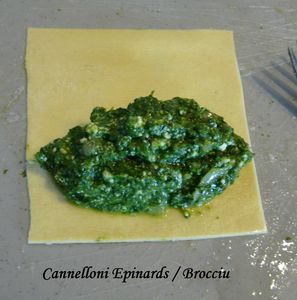Cannelloni épinards brocciu