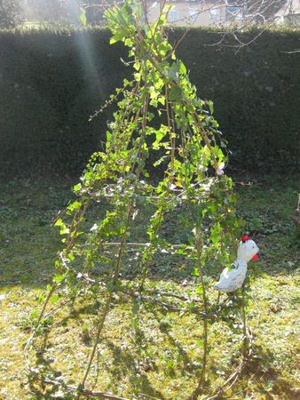 IMG_4091