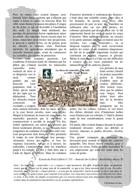 Invasion des sauterelles au Tarf - PC 131 - Bathélemy Mans-page-002