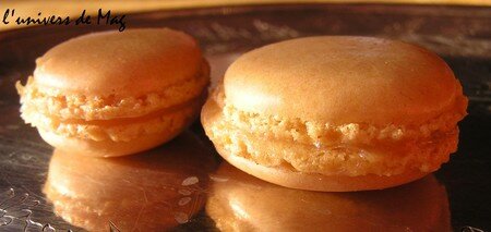 d_cembre_2007___macarons_caf__et_citron__15_