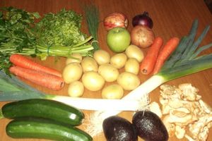 legume 017