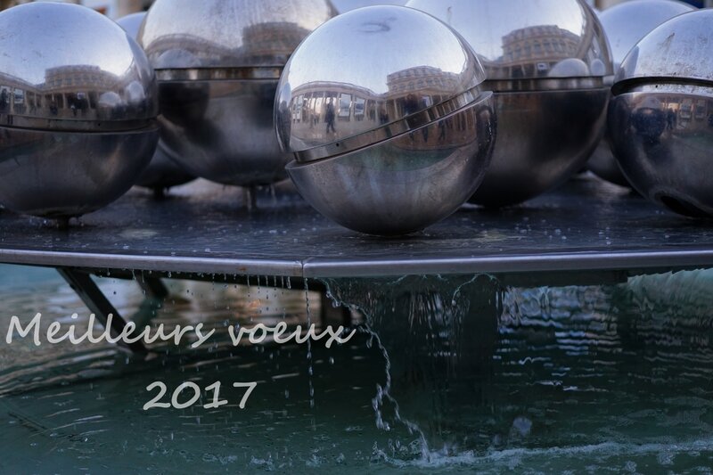 Reflets Palais Royal