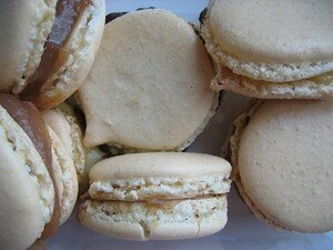 macarons___d_guster